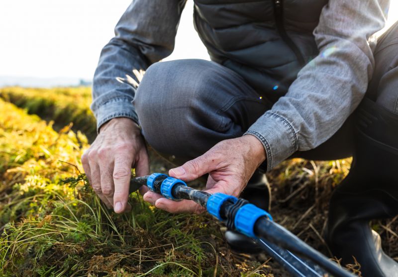 Local Irrigation System Maintenance pros at work