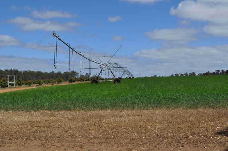 Irrigation System Maintenance detail