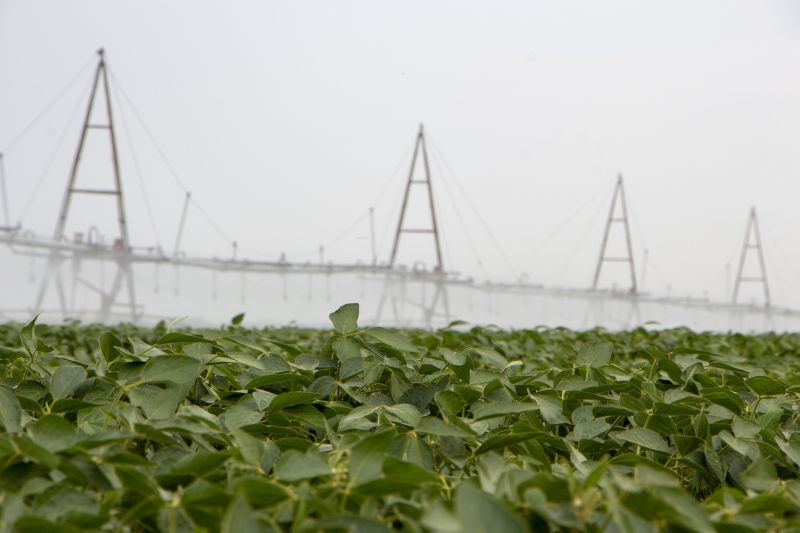 Irrigation System Maintenance detail