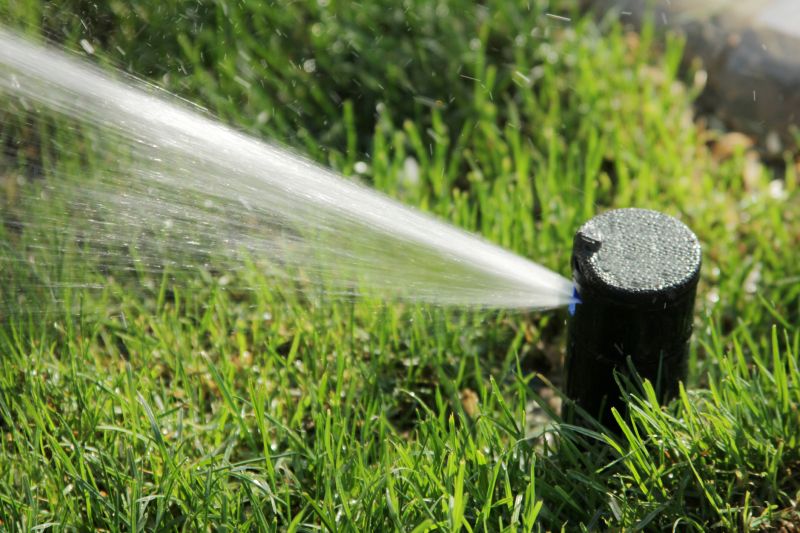 Pop Up Sprinklers Repair