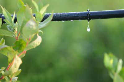 Keep Your Irrigation System Maintained for Proper Efficiency!